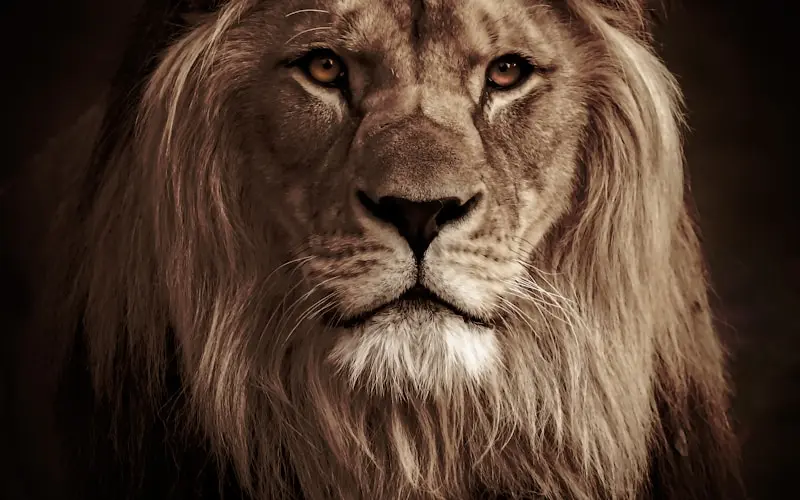 فرط الحركة عند الأطفال الأعراض والأسباب والعلاج